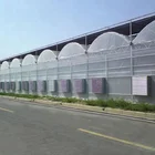 Automatic Shading System PO Film Cheap Multi-span Hydroponic Greenhouse