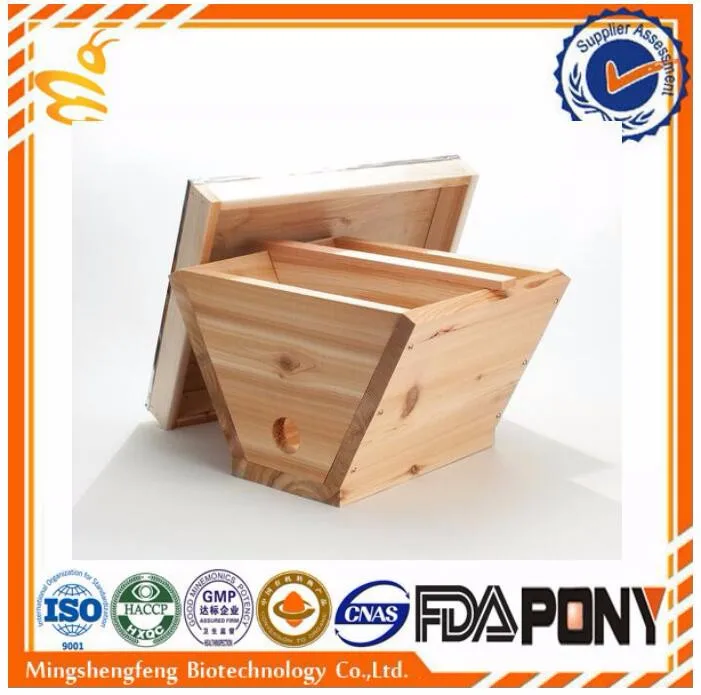 top bar beehive 1.jpg