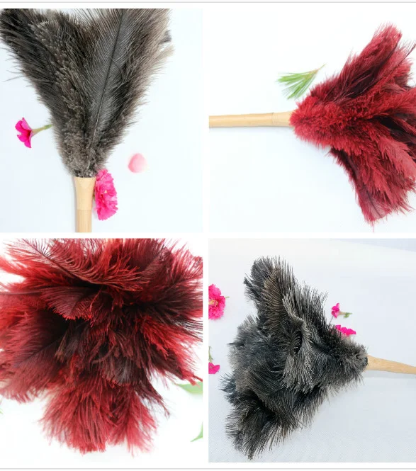 ostrich feather duster.jpg