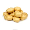 /product-detail/high-quality-fresh-potato-60838063711.html