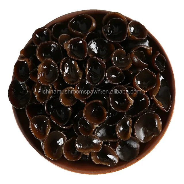 agaric fungus,blackfungus high quality dried white black fungus mushroom black agaric