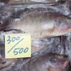 /product-detail/sea-food-frozen-black-tilapia-fish-from-wholesale-product-60810894426.html