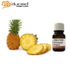 DM-21008 Traditional Salt Pineapple Flavour powder