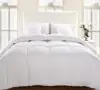 Bedding Comforter Duvet Insert - Quilted Comforter with Corner Tabs - Hypoallergenic, Box Stitched Down Alternative Comforter