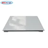 Reputation Wonderful Quality Electronic Weighing 300kg Made In Zhejiang Dog Scale With Stainless Steel Platform And Rubber Mat