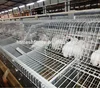 /product-detail/high-quality-3-tiers-12-cells-24-cells-commercial-rabbit-cages-for-breeding-rabbit-at-factory-price-60431549160.html