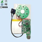 Li-ion rechargeable battery support USB sound module