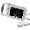 /product-detail/portable-digital-ultrasonic-diagnostic-tissue-imaging-ultrasound-tablet-ultrasound-62217526236.html