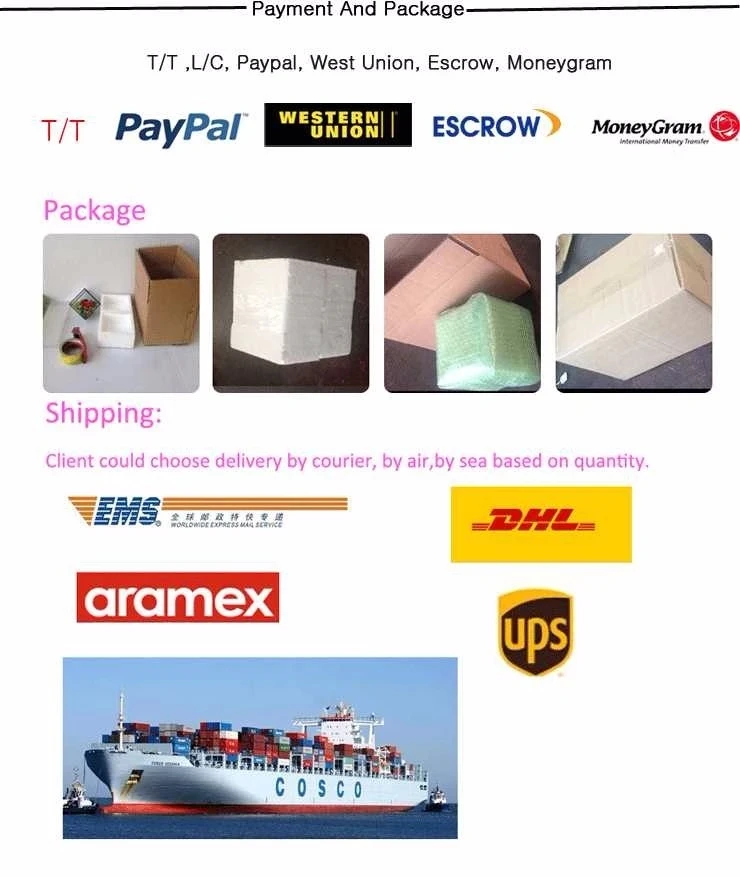 natural fresh preserved rose in glass dome with unicorn