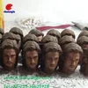Scale Human Head, Head Sculpture for 1:6 Action Figure