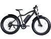 /product-detail/2019-hot-sales-48v-13ah-samsung-lg-battery-electric-fat-bike-500w-750-motor-optional-60689346708.html