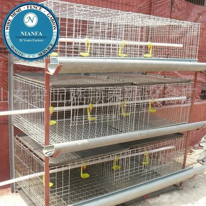 cheap price galvanized wire mesh cage quail and chicken cage with automatic water system for poultry farm