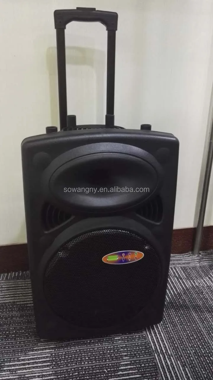 2019 Hot selling portable 15 inch karaoke trolley speaker - ANKUX.COM