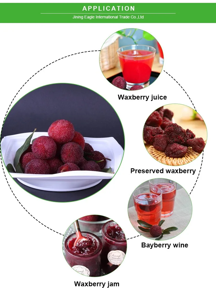 20-50mm sweet fresh waxberry red bayberry chinese