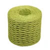 Raffia Stripes Paper Bag String Twisted Paper Craft Strings Cord Rope In Light Green Cord For Paper Bag 2mm 200cm