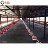 /product-detail/poultry-farm-equipment-automatic-chicken-feeding-and-drinking-system-for-sale-62010650554.html