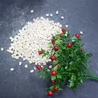 For Garden and home natural stones price Colorful gravel stone