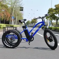 Cheap Price 48V 500W Fat Tire