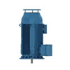W50 V1 Industrial AC Induction Motor for Pump