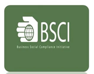 bsci.png
