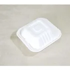 100% biodegradable disposable sugarcane tablewares(cups,plates,bowls,trays,lunch boxes etc.)