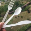 Plastic Disposable PLA Cutlery Fork / Knife / Spoon / Flatware Set For Western Dinner