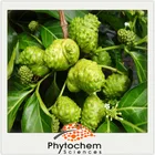 Chinese organic fresh fruit product Noni Extract powder
