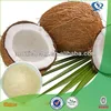 Coconut fruit powder, coconut juice powder, coconut milk powder bulk