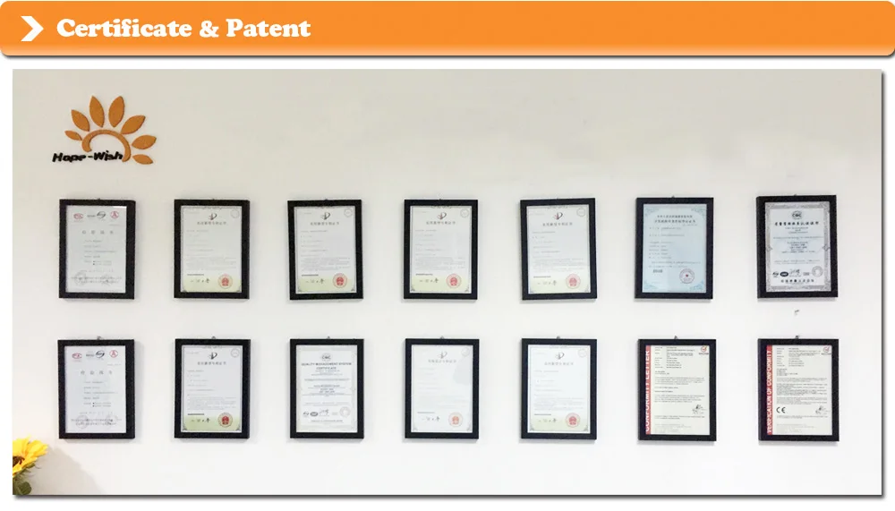 Certificate & Patent