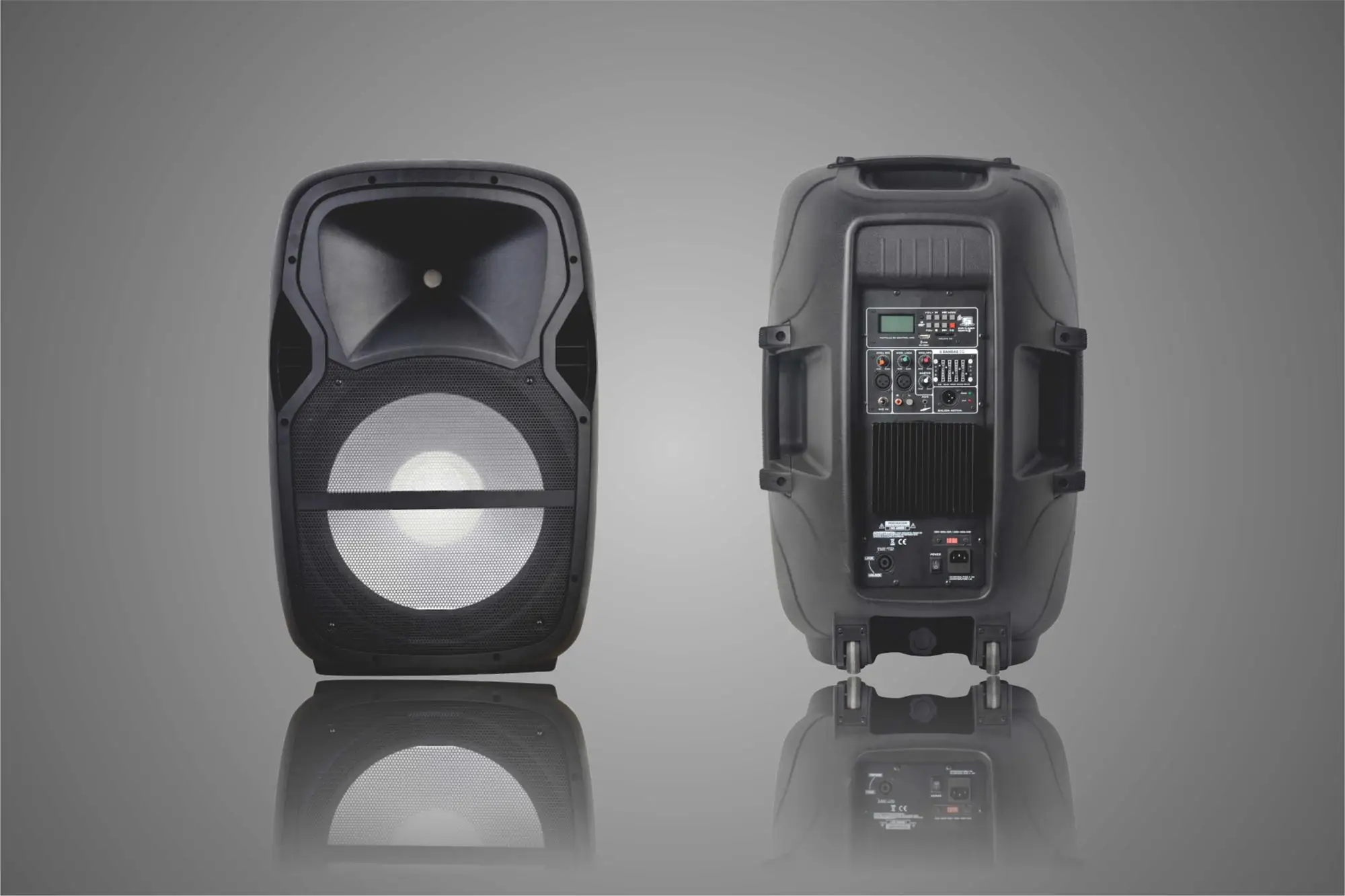 Accuracy Pro Audio PMW15AFX 15 Inch Powered Speaker Wholesale Active