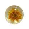 /product-detail/customized-natural-organic-chrysanthemum-amino-handmade-soap-skin-care-whitening-handmade-bath-soap-60406253675.html