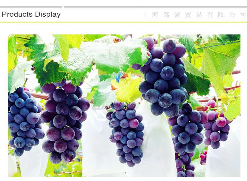 2555848201_511861202