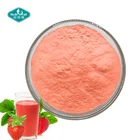 Wholesale Price Organic Spray Dried Strawberry Fruit Powder