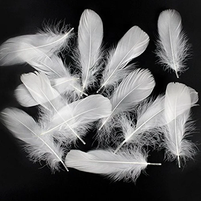 Использование перьев в магии 2-4cm-White-duck-feather-for-throw