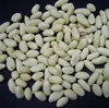 Supply high quality Peanut in different kinds