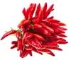 dried red hot chili cayenne pepper/chiles
