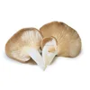 /product-detail/oyster-mushroom-how-to-grow-high-quality-gills-extract-powder-60748981905.html