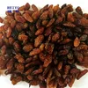 dried sultana raisins