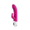 Classic popular waterproof rechargeable powerful function rabbit dildo pictures big sex vibrator for woman