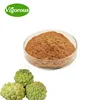 /product-detail/pure-natural-gmp-certified-graviola-extract-powder-capsules-1405389238.html