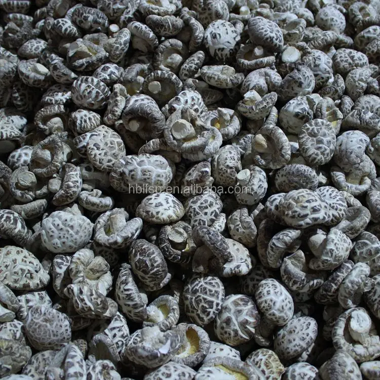 Dried Flower Shiitake Mushrooms & Truffles Suppliers from Chinese LIANFENG Factory