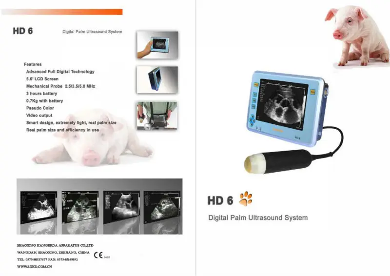 ultrasound diagnostic instruments