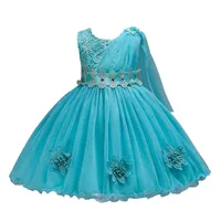 Baby Girl Party Princess Dress Flower Gilr Dress Kids wedding Costume Party Ball Gown
Baby Girl Party Princess Dress Flower Gilr Dress Kids wedding Costume Party Ball Gown