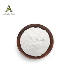 Premium Pure BCAA 2:1:1 Powder (Instantized), 25kg/drum