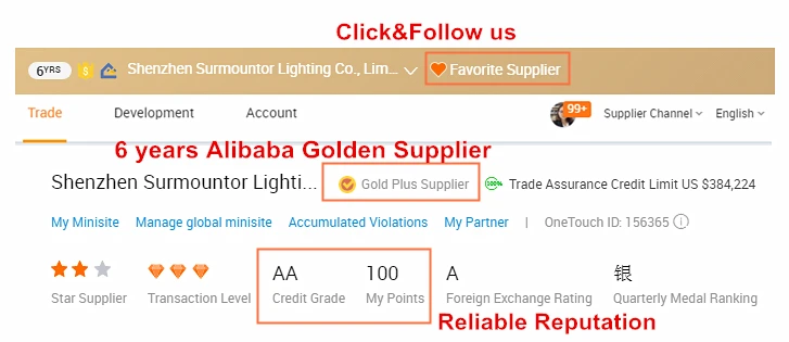 Golden supplier Surmountor