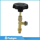Top Quality lpg gas cylinder valve,lpg gas control valve