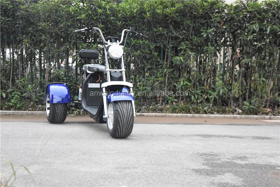 Sc Drei R Dern Gro E Reifen Trike Atv Erwachsenen Dreirad Citycoco