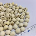 Lotus Seed for Mooncake Ingredients