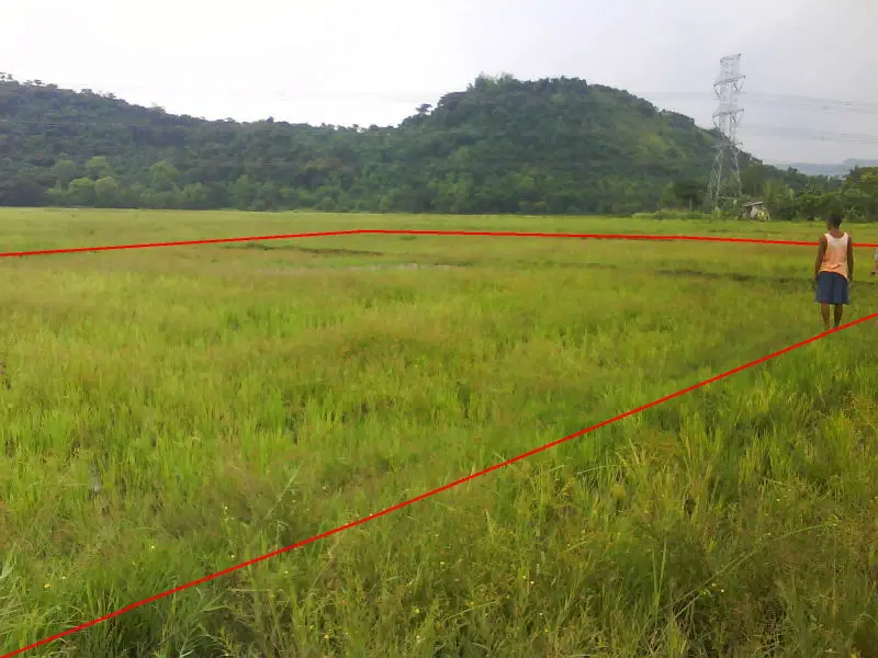PILILLA FARM PROPERTY