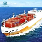 Small Ship Quick Service Forwarding Business Bg International Forwarder Cargo Delivery